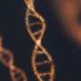 Genetic testing for rare movements disorders requires increased equity thumbnail