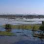 Large-scale study of Brazilian wetlands shows biodiversity loss
undermines ecosystem functioning