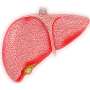 New technology in recent clinical study aims toward earlier detection
of hepatocellular carcinoma