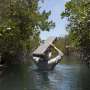 Mexican mangroves have been capturing carbon for 5,000 years