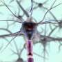 Nerve decompression shows promise for diabetic neuropathy patients