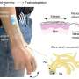 Spray-on smart skin uses AI to rapidly understand hand tasks