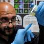 'Synthetic embryo' breakthrough but growing human organs far off