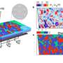The observation of Chern mosaic and Berry-curvature magnetism in magic
angle graphene