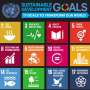 sustainable development goals essay questions