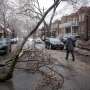Hundreds of thousands without power in Canada after ice storm thumbnail