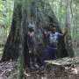 Gabonese village fights to save forest from logging
