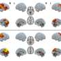 human brain research paper
