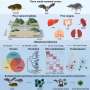 biodiversity related essays