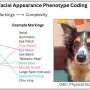 research on dog behavior