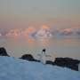 antarctic cruise hit by wave