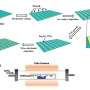 Researchers develop device that can switch between photodetector and
neuromorphic vision sensor