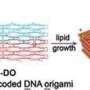 research paper on dna