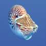 Three new nautilus species described from the Coral Sea and South Pacific