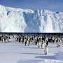 impact of tourism in antarctica