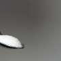 Do sweeteners increase your appetite? New evidence from randomized controlled trial says no