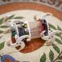 Flexible robot that can sneak into small spaces for mapping, inspections