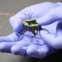 Tiny, shape-shifting robot can squish itself into tight spaces