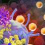 research on cancer immunotherapy
