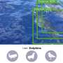 AI making waves in marine data collection