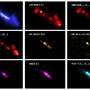 ALMA finds new molecular signposts in starburst galaxy