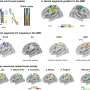 research papers on nature vs nurture