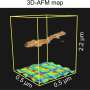 Researchers explain the imaging mechanisms of atomic force microscopy in 3D