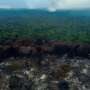 Deforestation in Brazilian Amazon halved in 2023 thumbnail