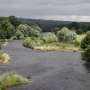 English rivers in 'desperate' state: report
