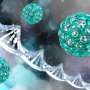 CD7 CAR T-cell therapy, stem-cell transplant beneficial for
CD7-positive tumors