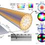 Topologically controlled multiskyrmions: Researchers propose a new
family of quasiparticles