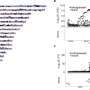 genetic diversity thesis