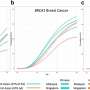 Study supports gene-directed management of BRCA1 and BRCA2 gene carriers in Singapore