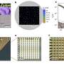 A new strategy for fabricating high-density vertical organic
electrochemical transistor arrays