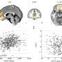 behavioral neuroscience new research
