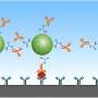 zinc oxide nanoparticles research paper
