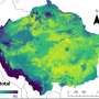 Maps developed with artificial intelligence confirm low levels of phosphorus in Amazonian soil