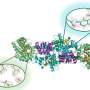 research work on lipid profile
