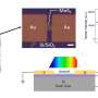 Scientists reveal working mechanism of multilayer MoS₂ photodetector with broad spectral range and multiband response