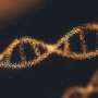 Mutations in noncoding DNA become functional in some cancer-driving genes