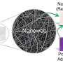 Nanofibers rid water of hazardous dyes: Researchers develop efficient filters based on cellulose waste