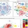 New multi-task deep learning framework integrates large-scale single-cell proteomics and transcriptomics data