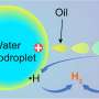 Researchers realize hydrogen formation by contact electrification of
water microdroplets and its regulation