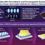 Enhancing memory technology: Multiferroic nanodots for low-power magnetic storage