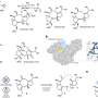 research papers on pharmaceutical chemistry