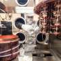 Scientists at the MAJORANA Collaboration look for rule-violating
electrons