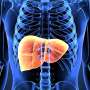 Semaglutide alleviates metabolic-linked liver disease in people with
HIV