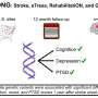 Exploratory study links gene variants to stroke recovery