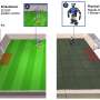 Tiny AI-trained robots demonstrate remarkable soccer skills
