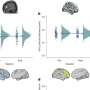 new research in neuroscience
